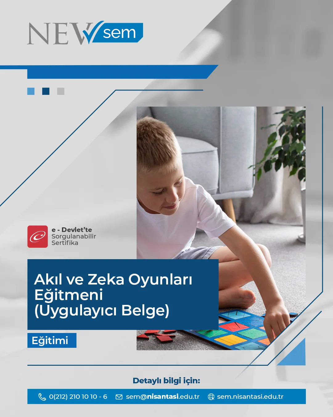 Akıl Ve Zeka Oyunları Eğitmeni Sertifika Programı ( Uygulayıcı Belge)