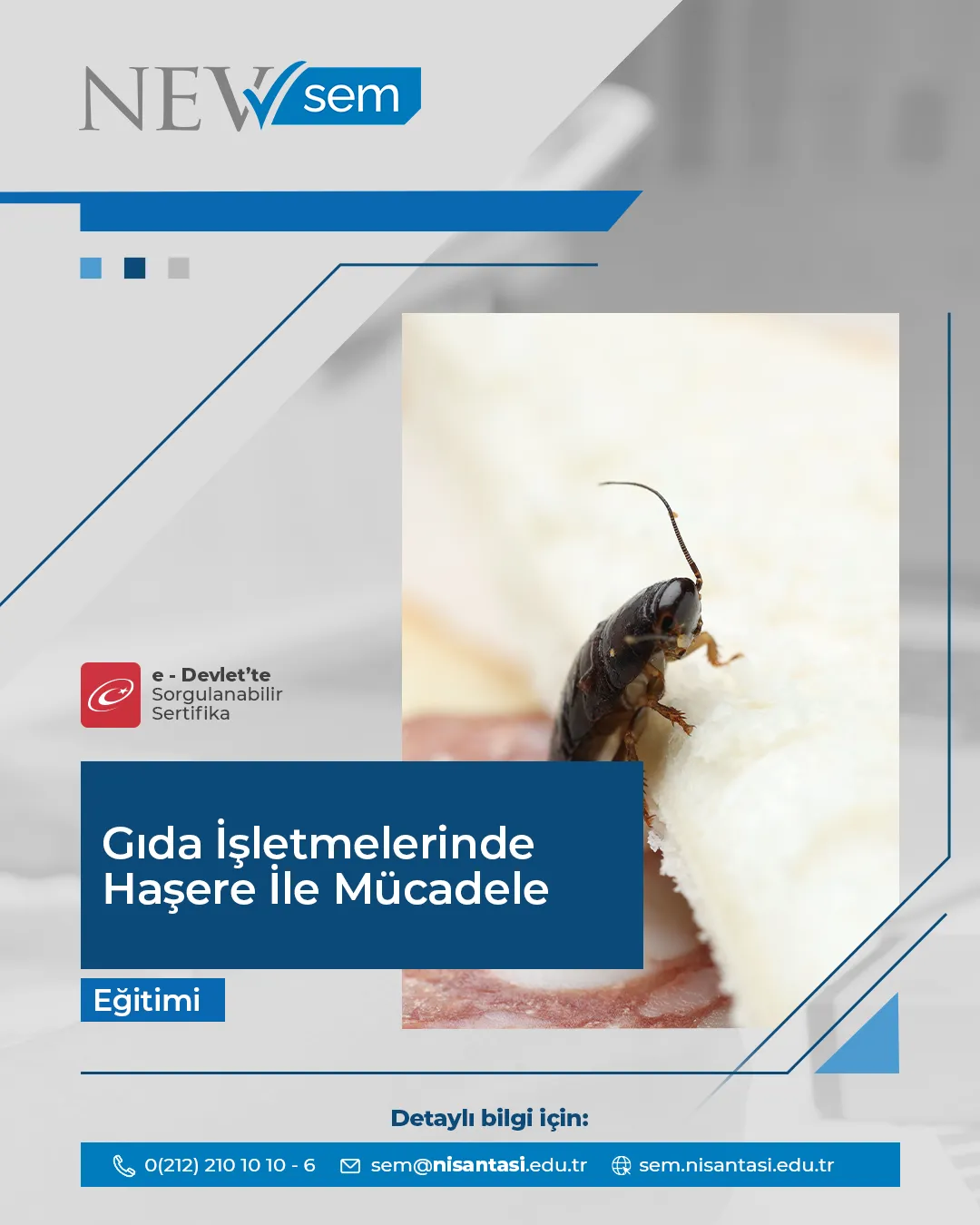 Gıda İşletmelerinde Haşere İle Mücadele Sertifika Programı